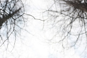 IMG_0357.JPG