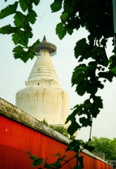 119878