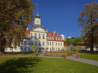 IMG_1903.jpg