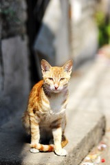 IMG_0345.jpg