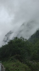1000037952