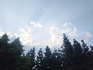 109717