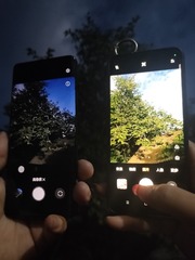 1000025694
