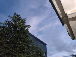 1000025687