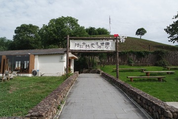 28841