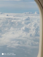 162531