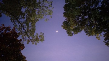 1226204