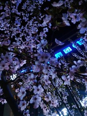 150186