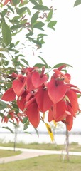 1201162