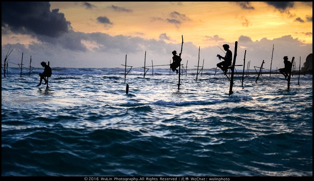 海滨垂钓 | 斯里兰卡三大怪之一，只有在斯里兰卡南部海岸的几处海岸才有！当地渔民每次垂钓都需要游泳到海中，登上高跷之上，坐在上面个把小时，至于战果如何，没有亲眼看到！目前，仅仅靠钓鱼估计很难养家，所以现在的渔民都是表演性质的垂钓，赚取一些小费，以补贴家用！拍摄这张照片时，我站在海中，浪几次冲击至胸口，所以站的住才是最重要的，不然很容易被海水的冲击力放倒，相机也很危险。 