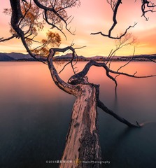 _C8A0920-Pano-1
