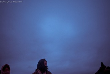 IMGP3879-1.jpg