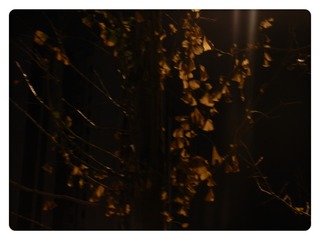 D269BB66-E275-443F-AE32-2653C3CAFC10/L0/001