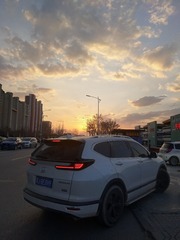 1000003130