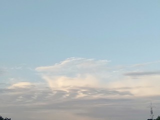 1000000444