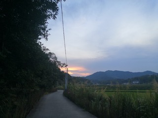 438501