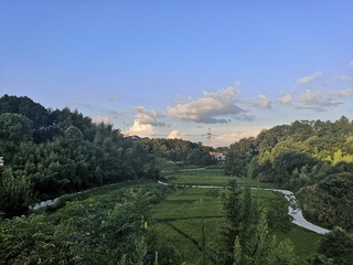 438449