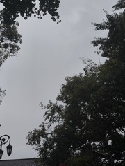 1000013025