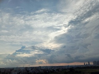 1000079445
