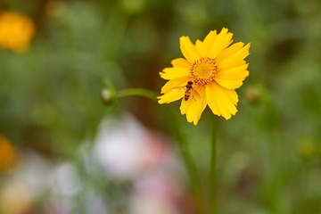1315402