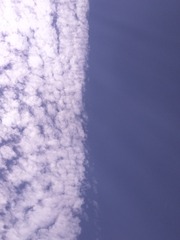 238
