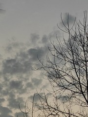 1000028377