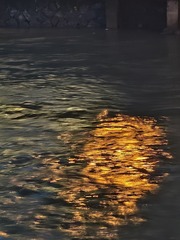1000107130