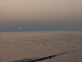1000108026