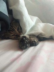 712