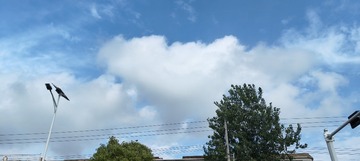 1000001573