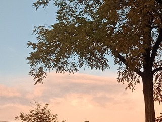 1306010