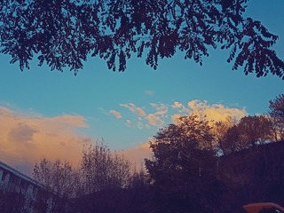 1306013