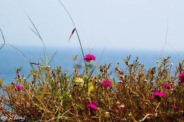 海南-00378.jpg