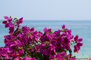 海南-00364.jpg