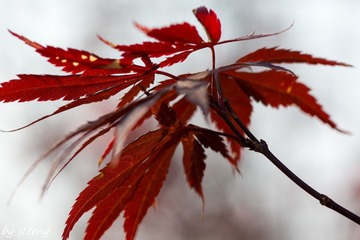 DSC00820-6.jpg