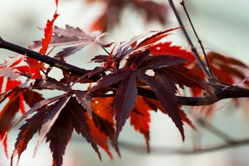 DSC00821-7.jpg