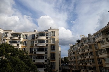 1000035447