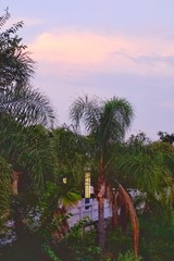 1000042579