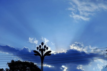 1000038249