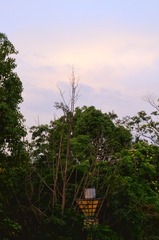 1000042580