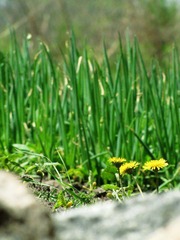 IMG_0154副本.jpg