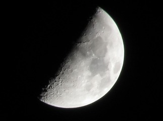 IMG_0356.JPG