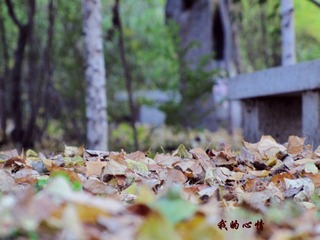 IMG_0377副本.jpg