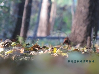 IMG_0419副本.jpg