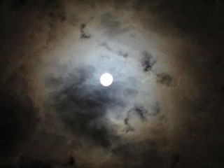 IMG_9404.JPG