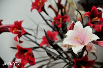 DSC_1424副本.jpg