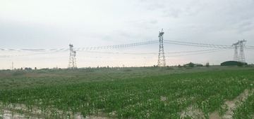 3231617