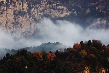 IMG_1293.jpg