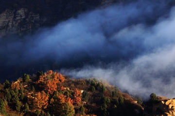 IMG_1502.jpg