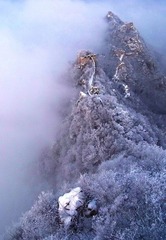 险.jpg